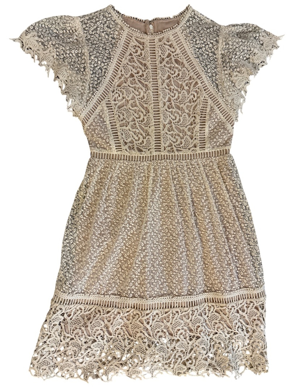 Ranna Gill Champagne Lace Mini Dress with Scalloped Hem